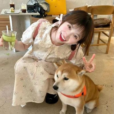 逃亡纪事